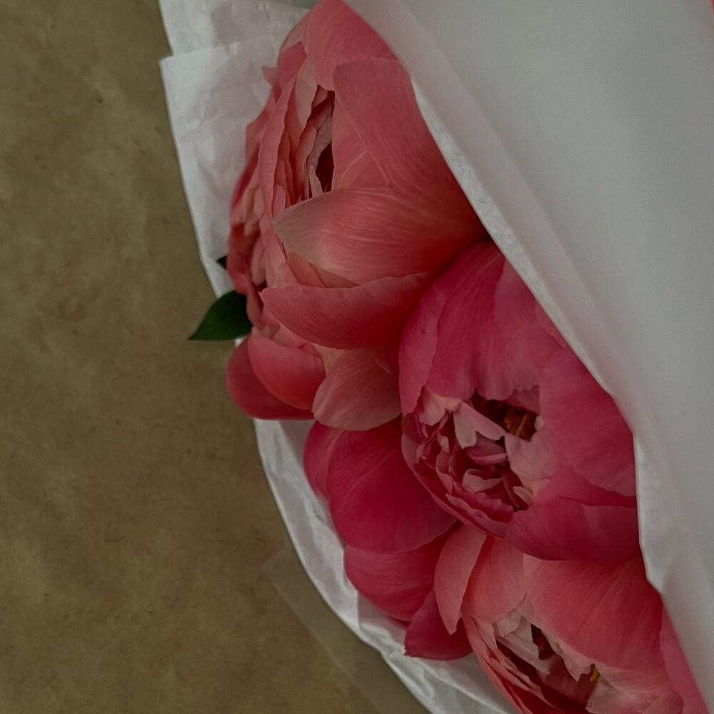 Пионы Коралловые