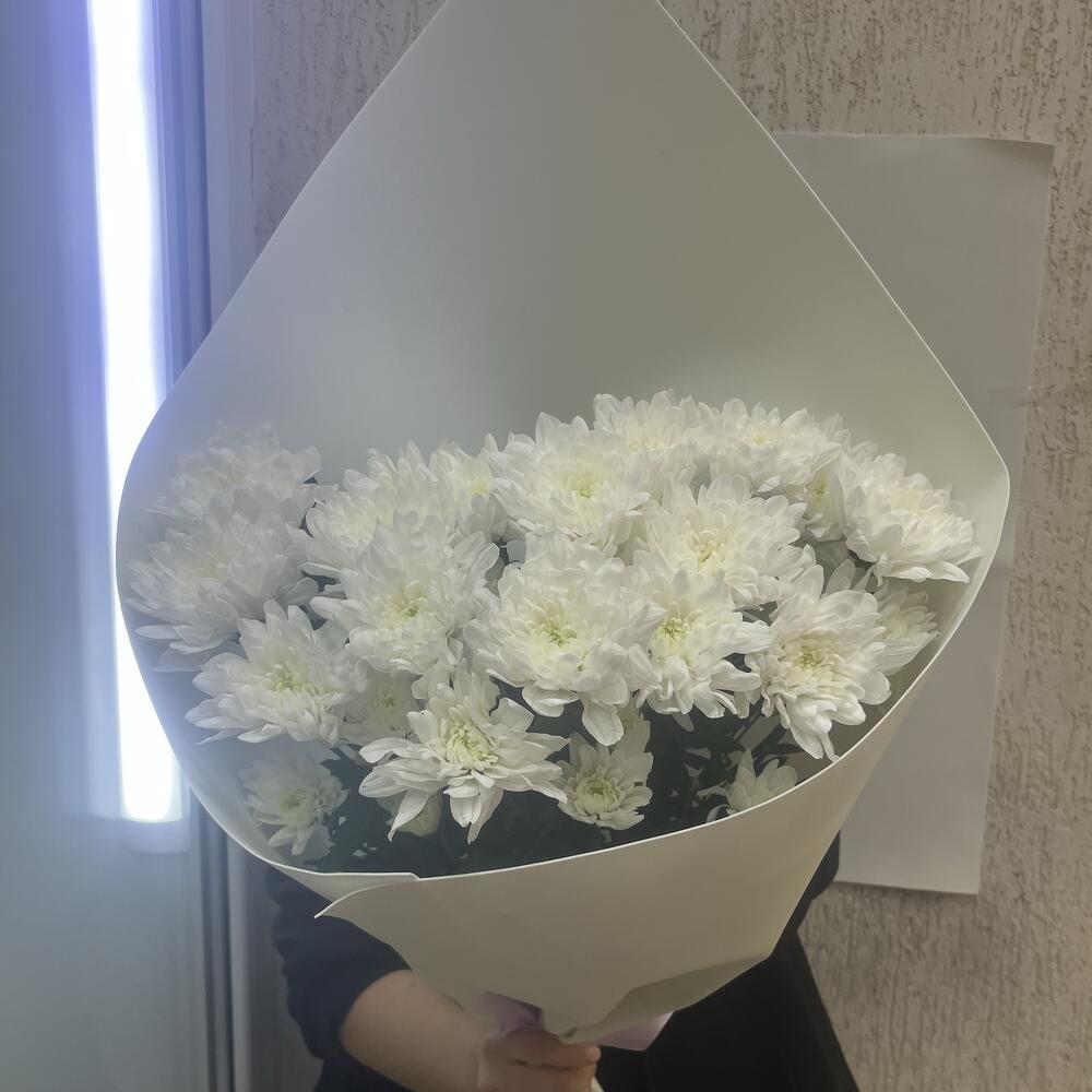 Куставая хризантема