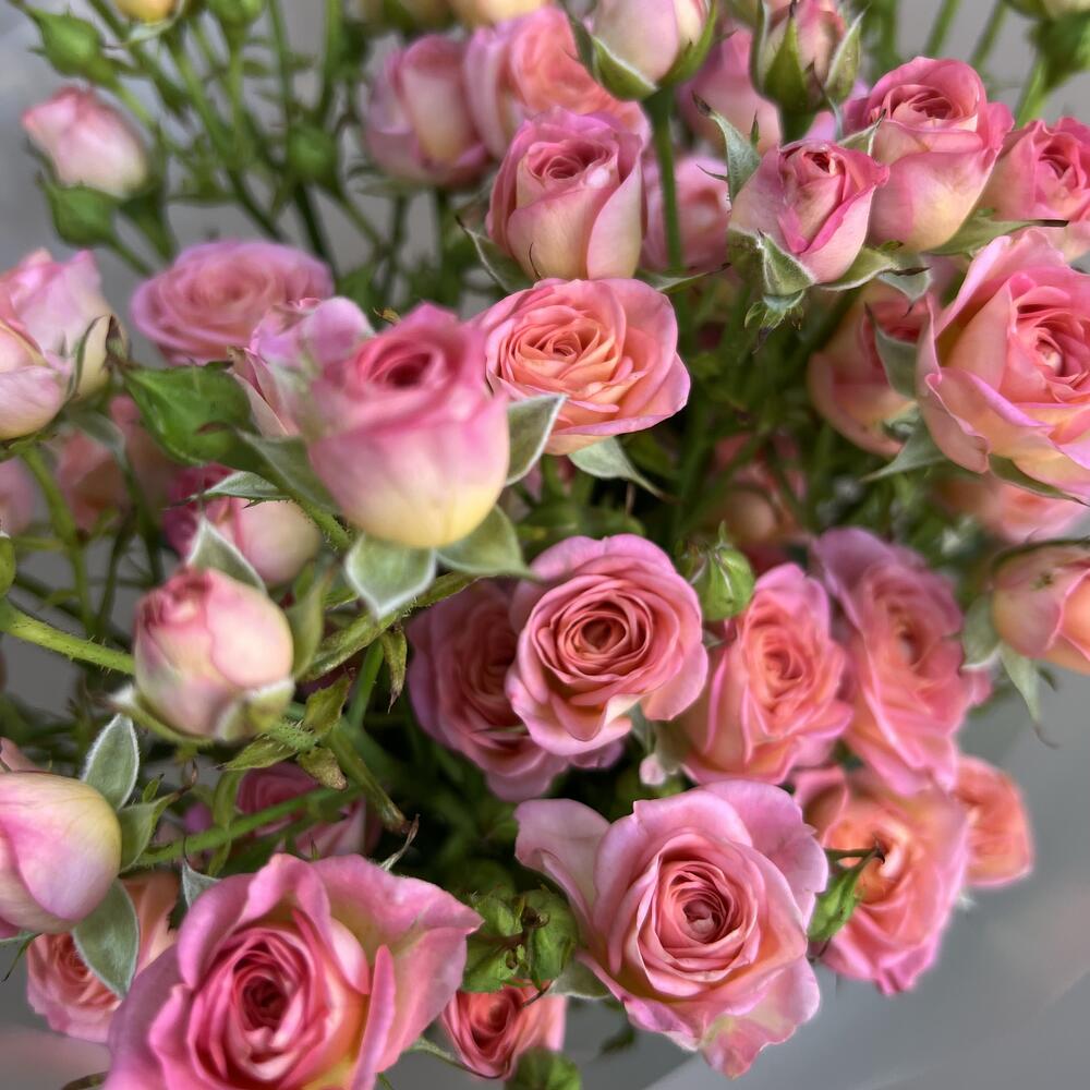 Букет Pink Kheops S