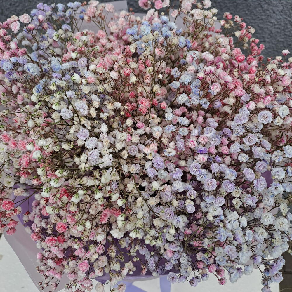Monobucket made of multicolored gypsophila