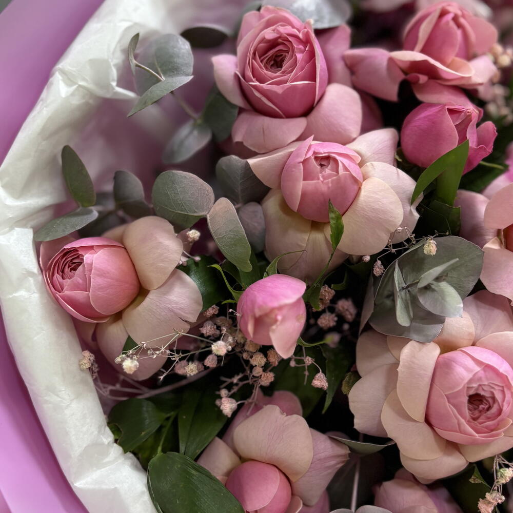 QQ roses