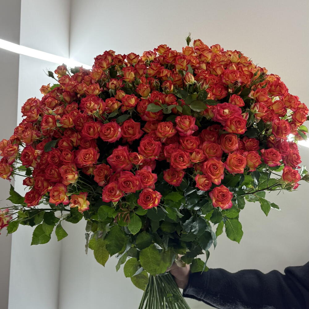 Orange spray rose