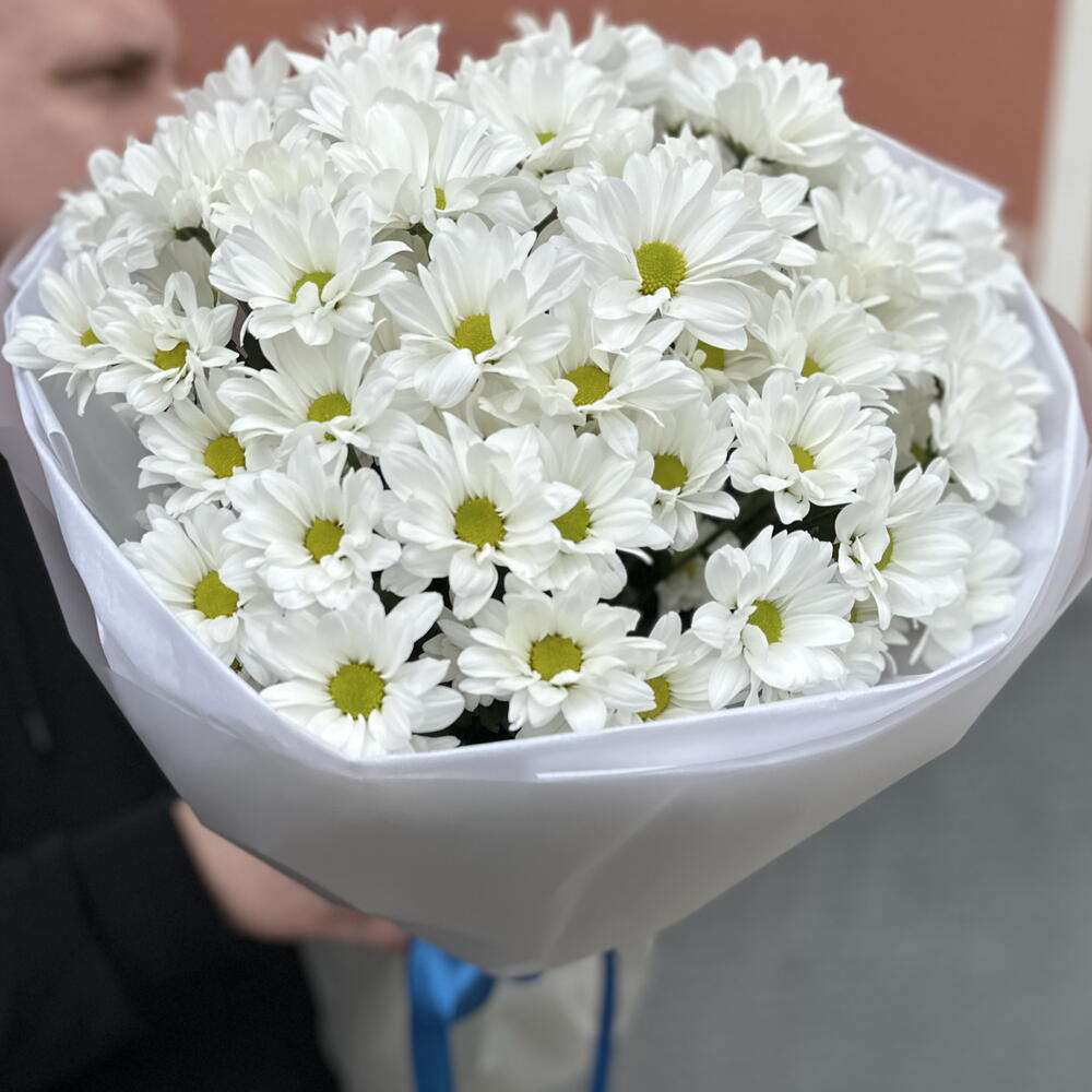 Ромашка 9