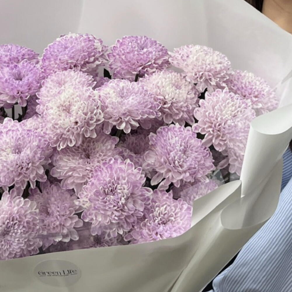 Violet love