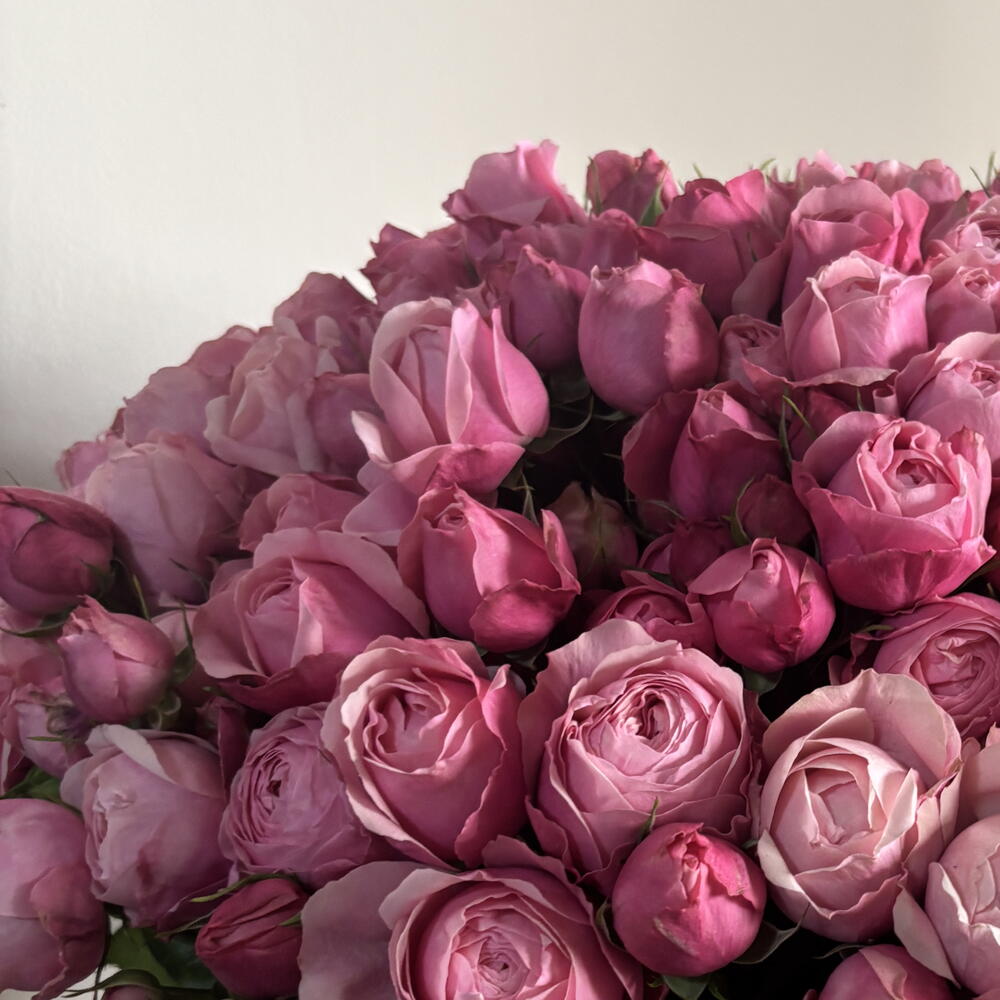Нежный букет Сильва Pink