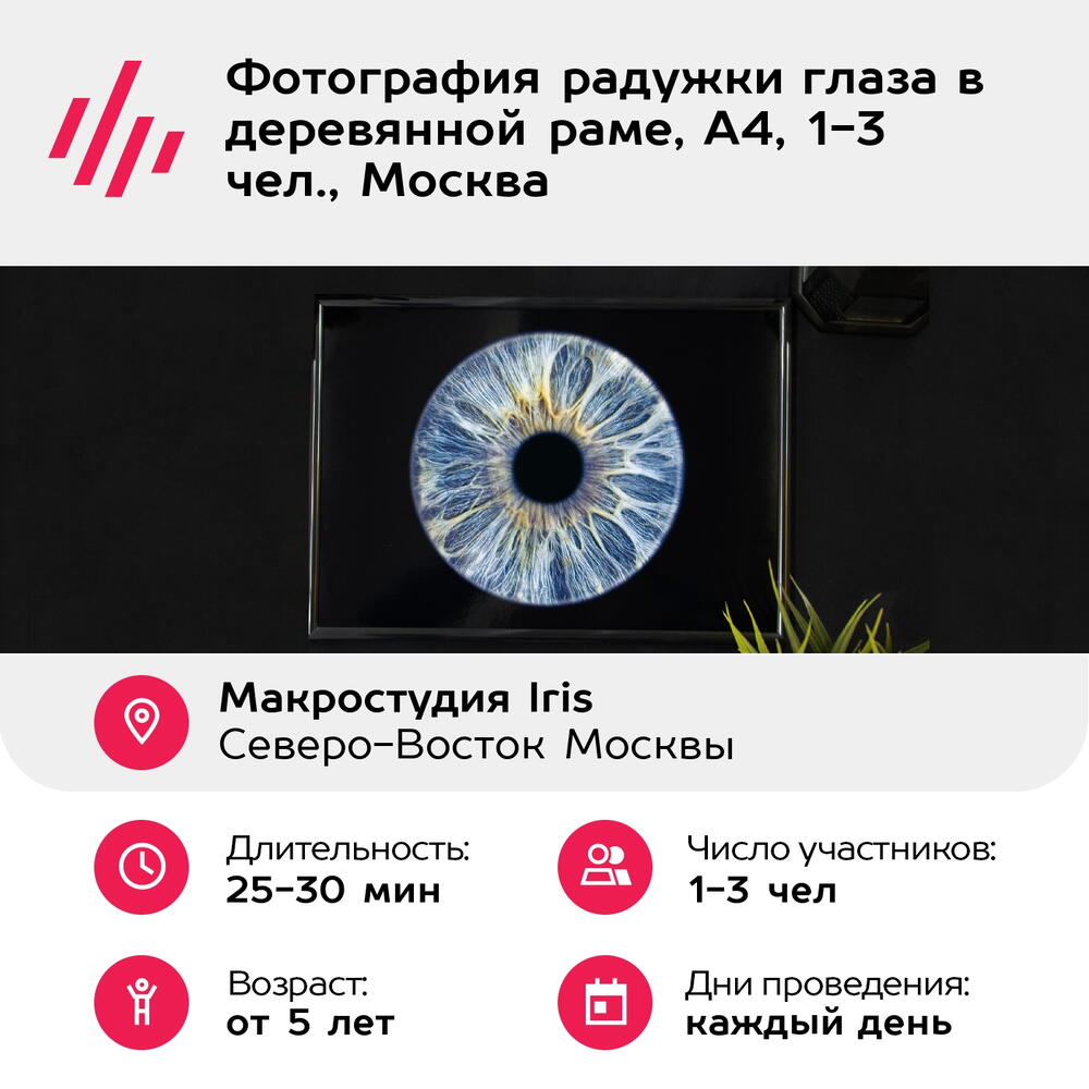 Подарочный сертификат Фотография радужки глаза в деревянной раме, А4, 1-3 чел., Москва