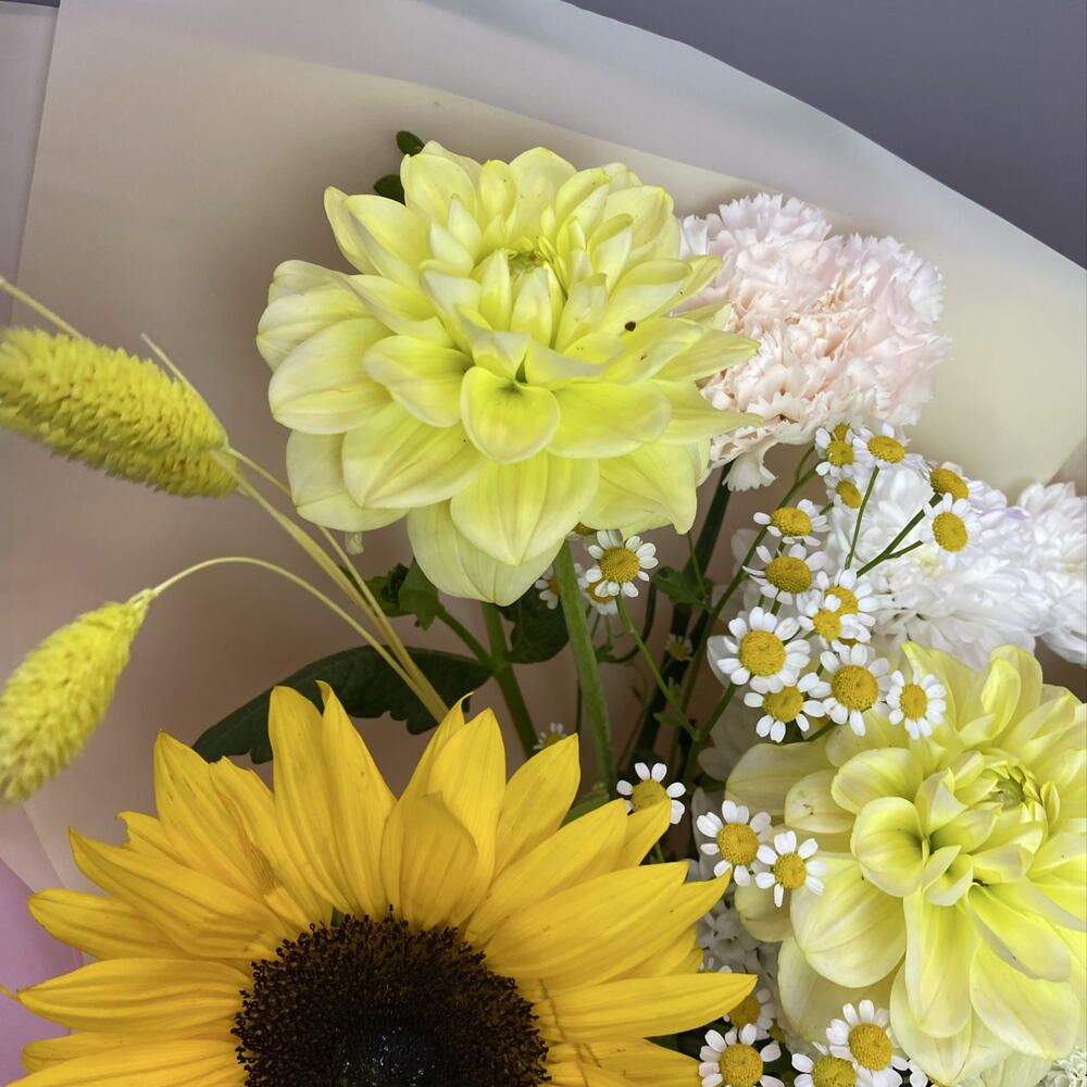 Солнечный день
