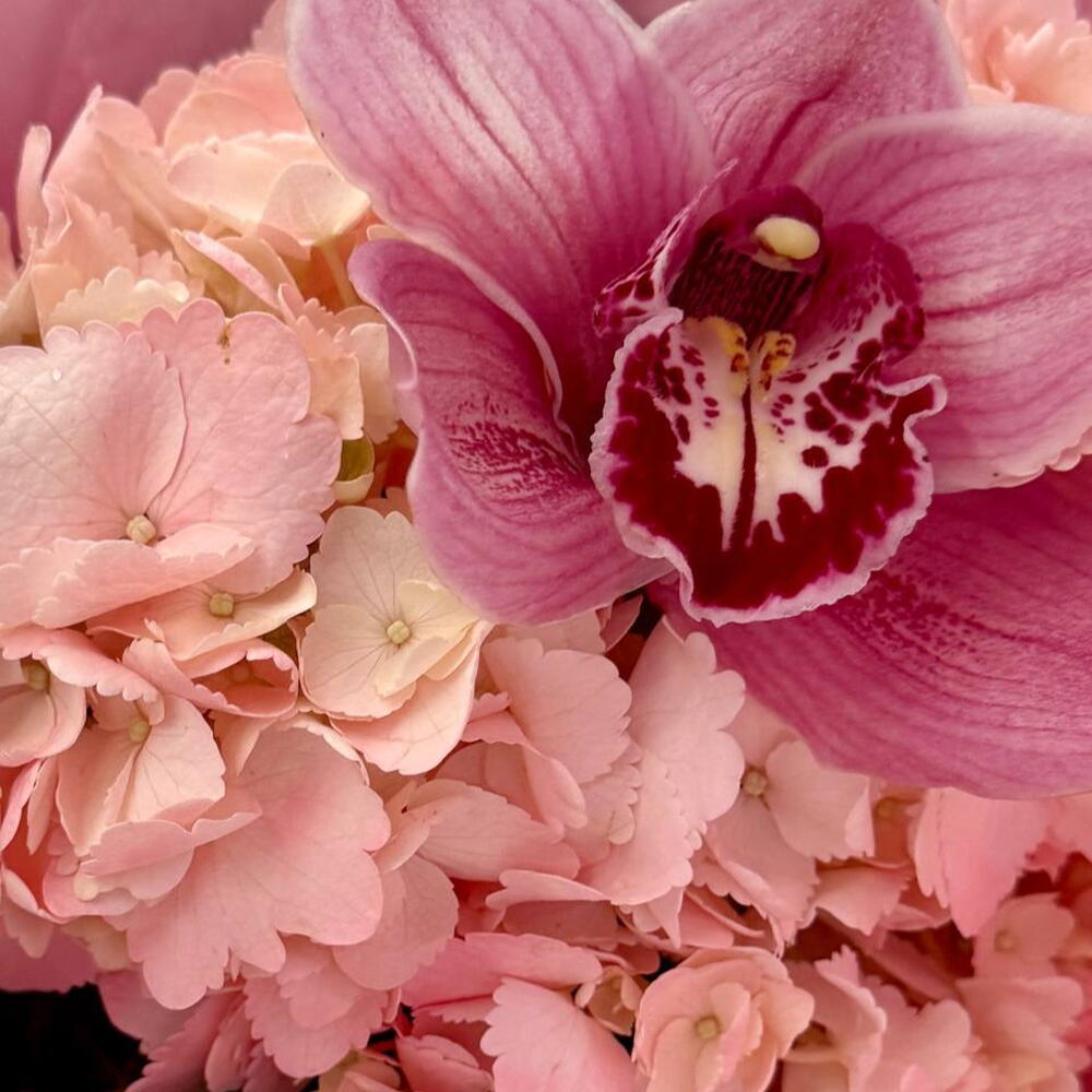 A compliment bouquet with orchid and hydrangea in a designer package