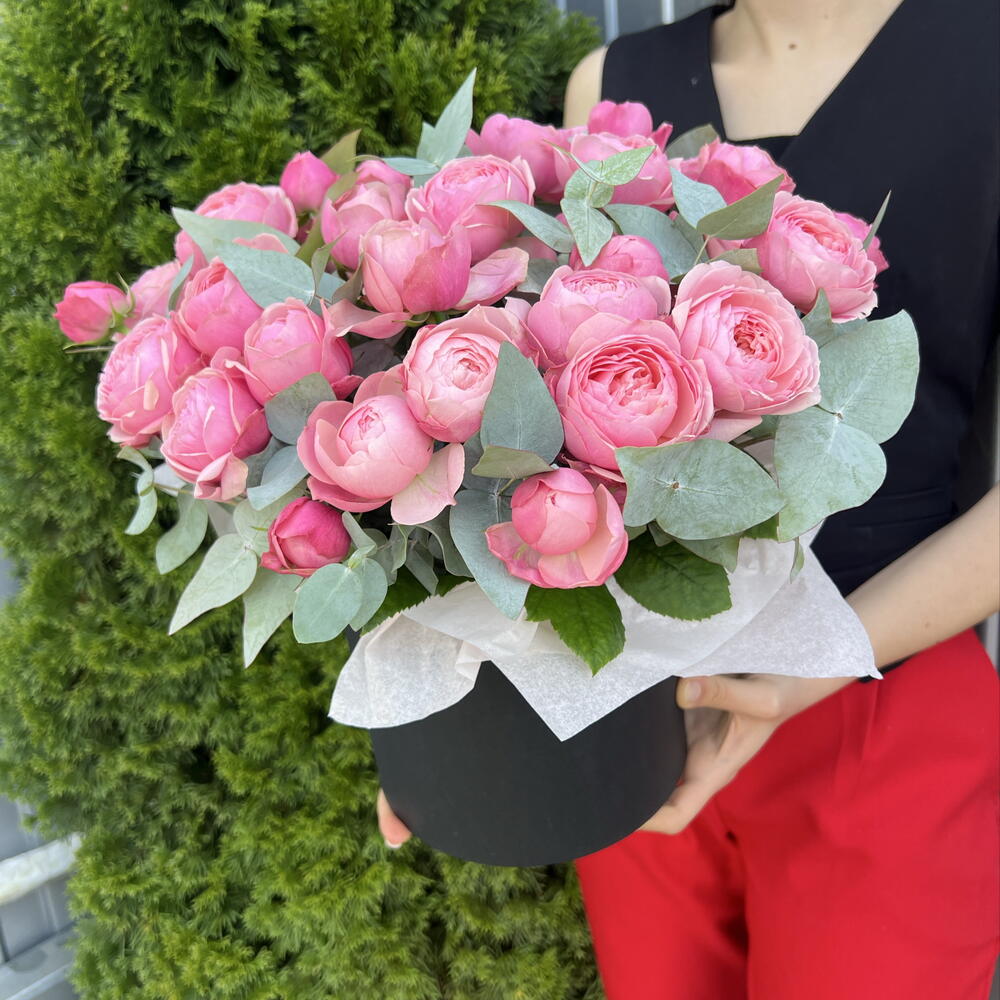 Сильва 🌹