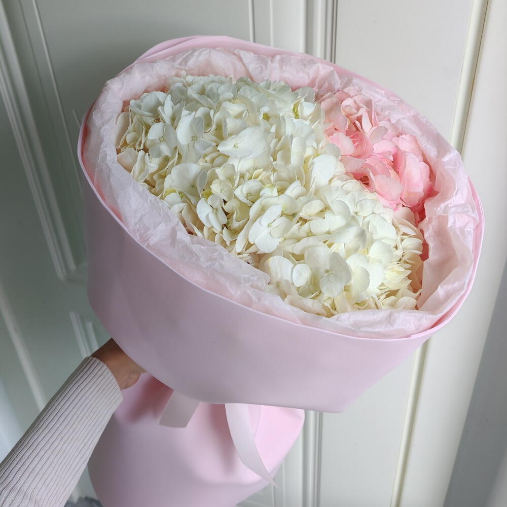 Зефирка🌷🩷
