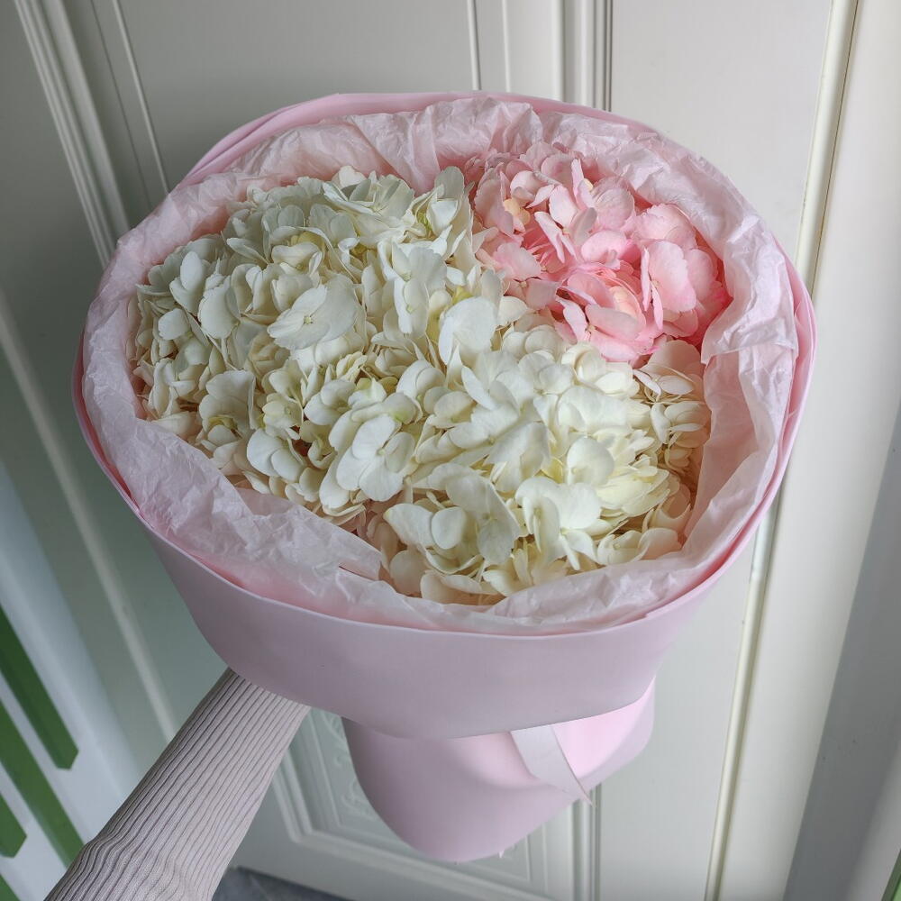 Зефирка🌷🩷