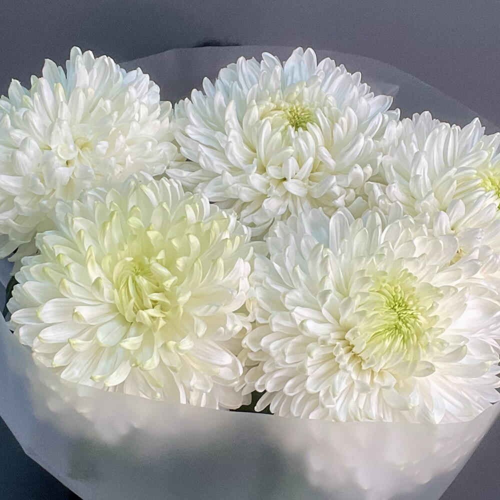 Магнум