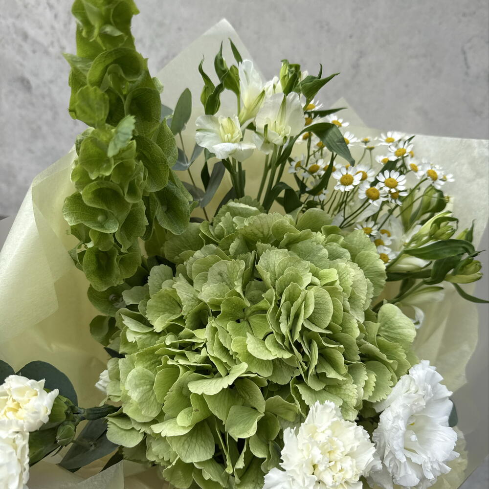 Букет с гортензией и молюцеллой — нежный объёмный букет в подарок 💐