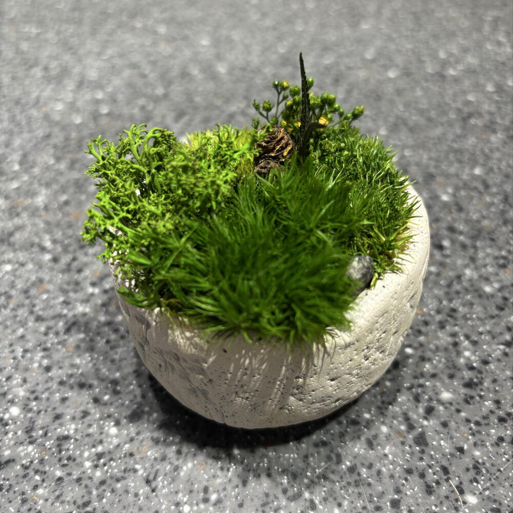 Кусамоно в кашпо🌱