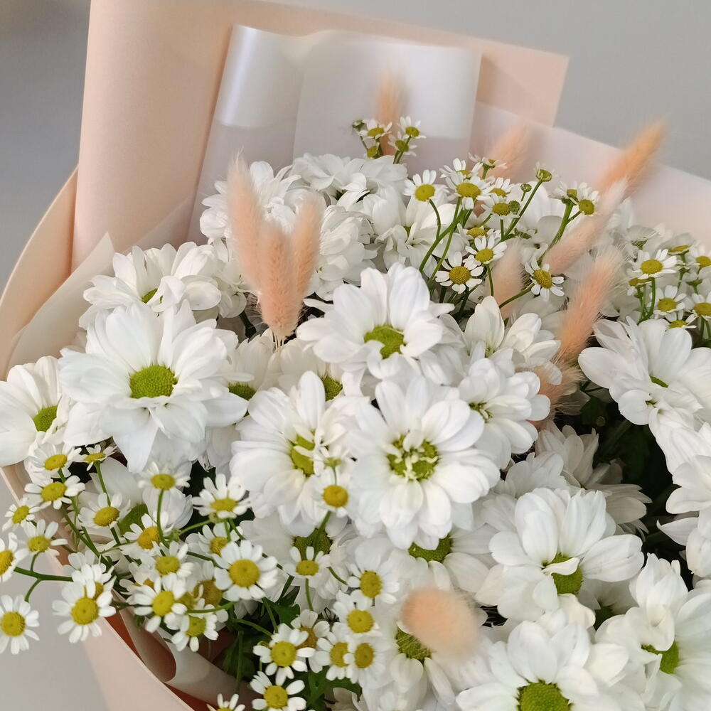 Ромашковый букет🌸