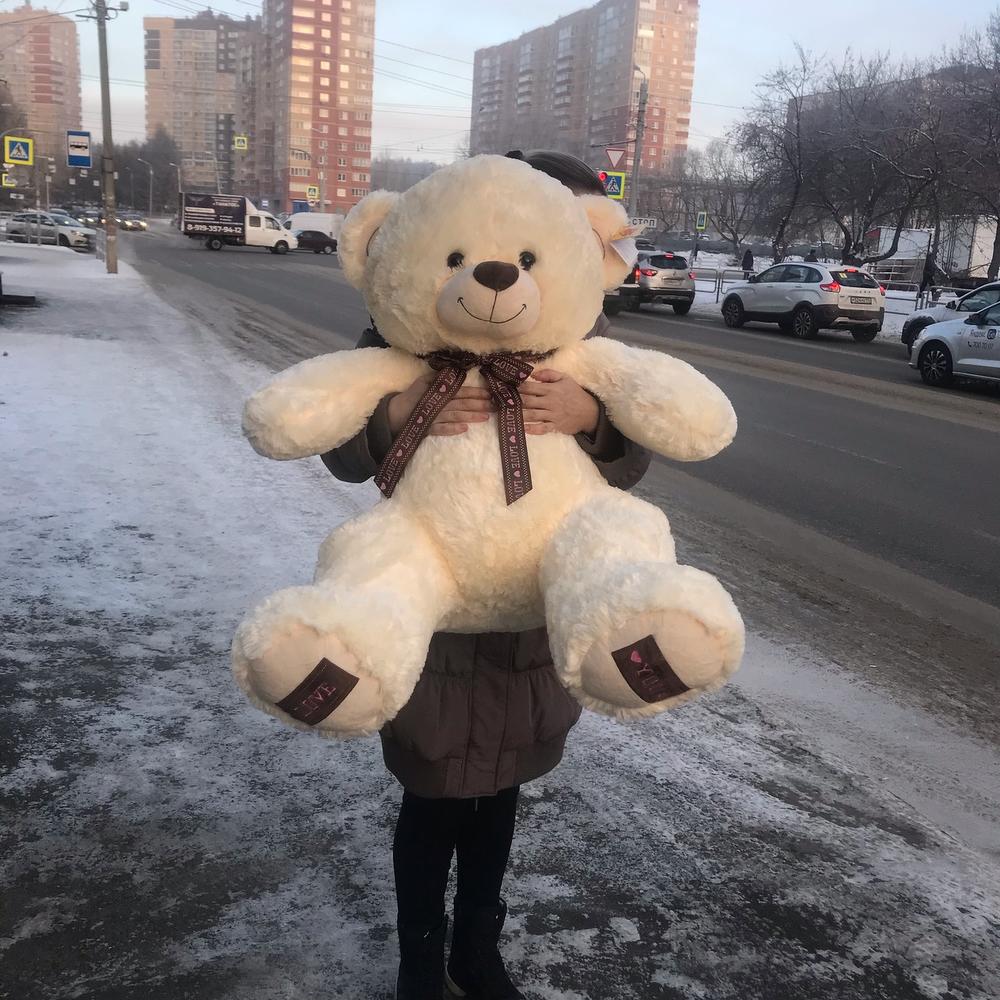Большой мишка медведь