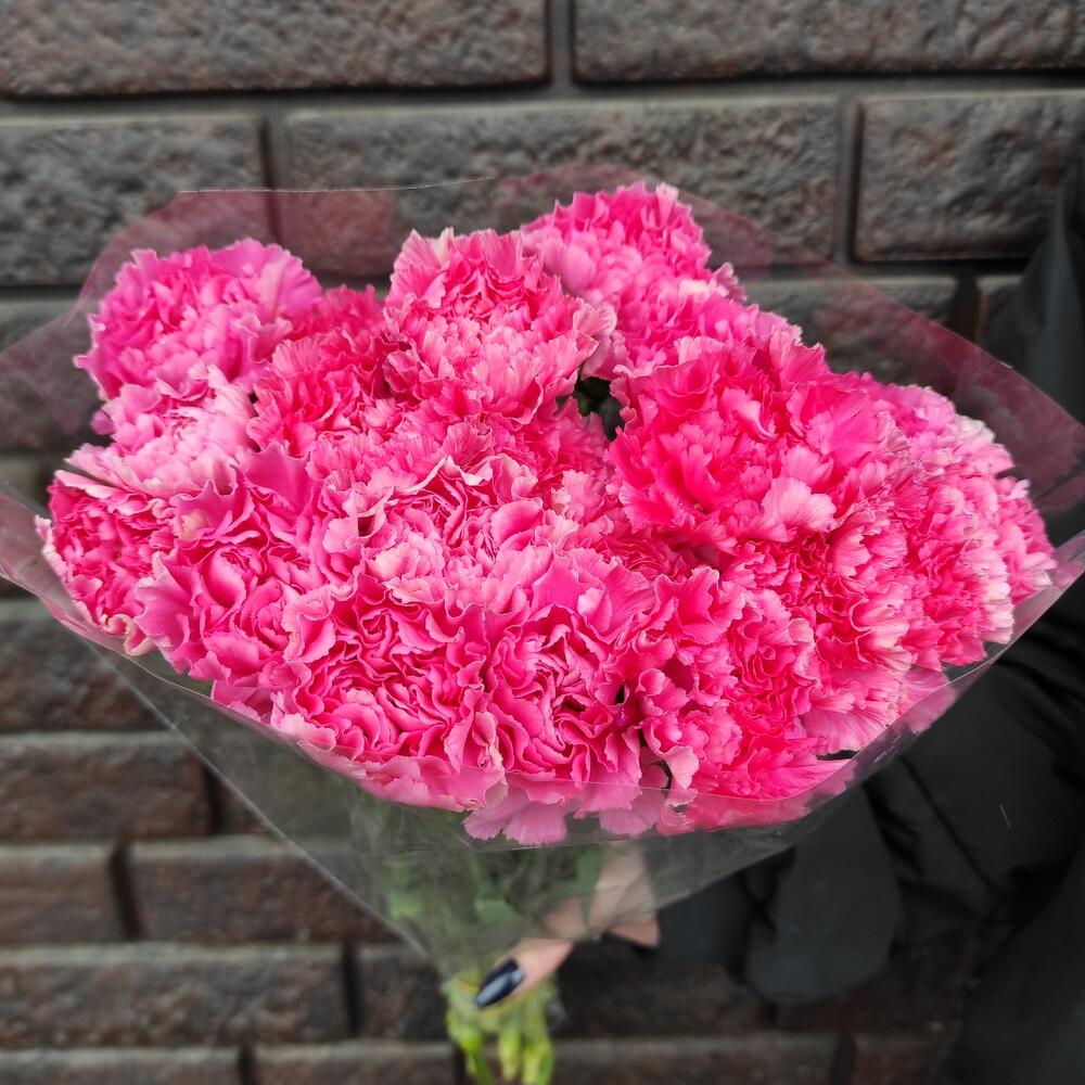 Гвоздика 25 шт