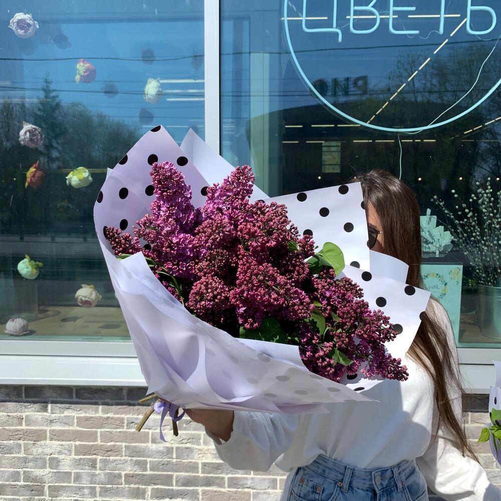 Сирень