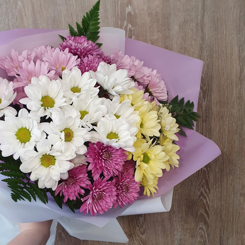 Chrysanthemum