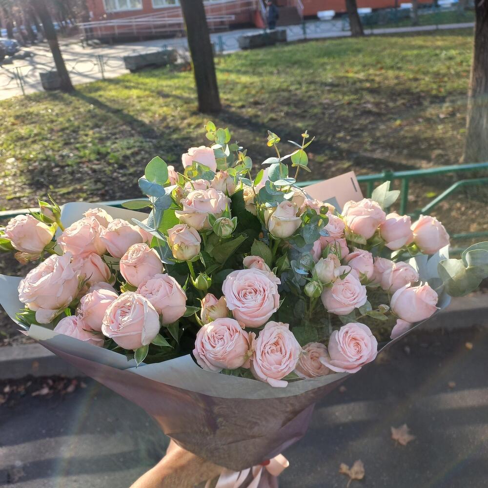 Мадам Бомбастик