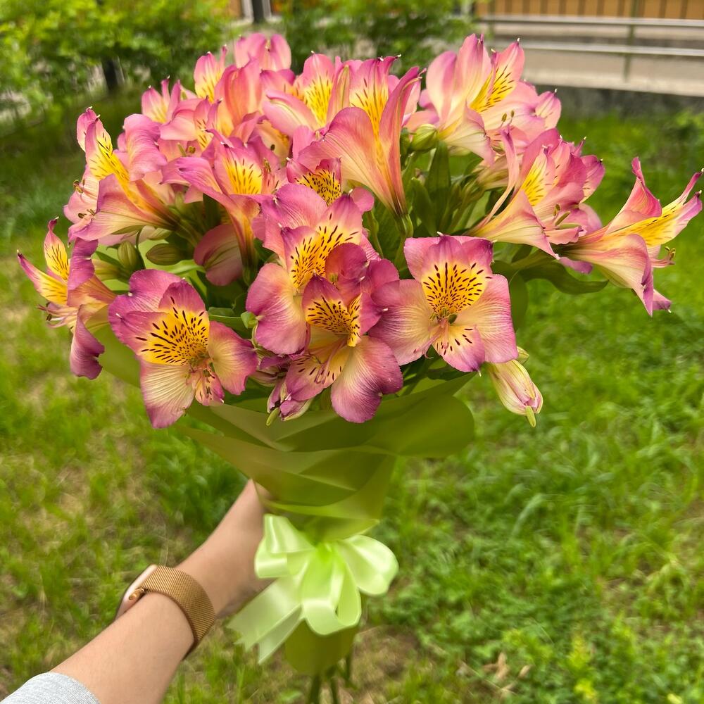 Букет альстромерия