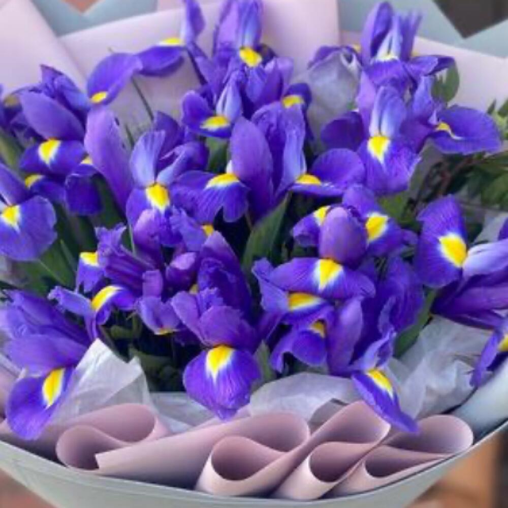 Букет ирисов 💐