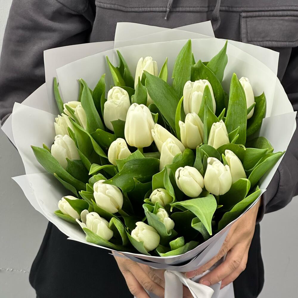 25 tulipán blanco