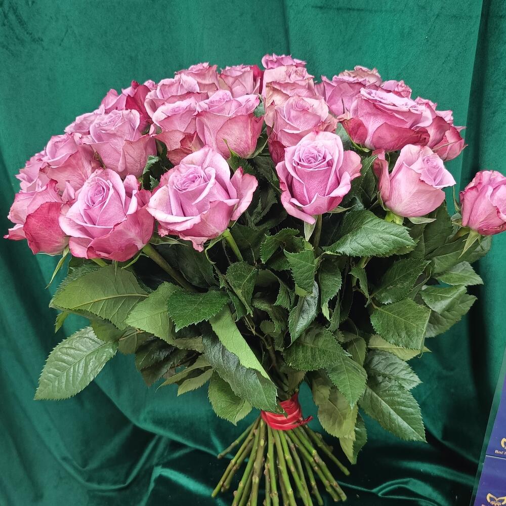 Роза кен