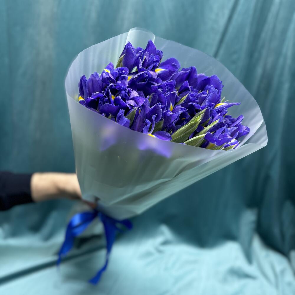 Ирисы Blue  Magic💙💙💙