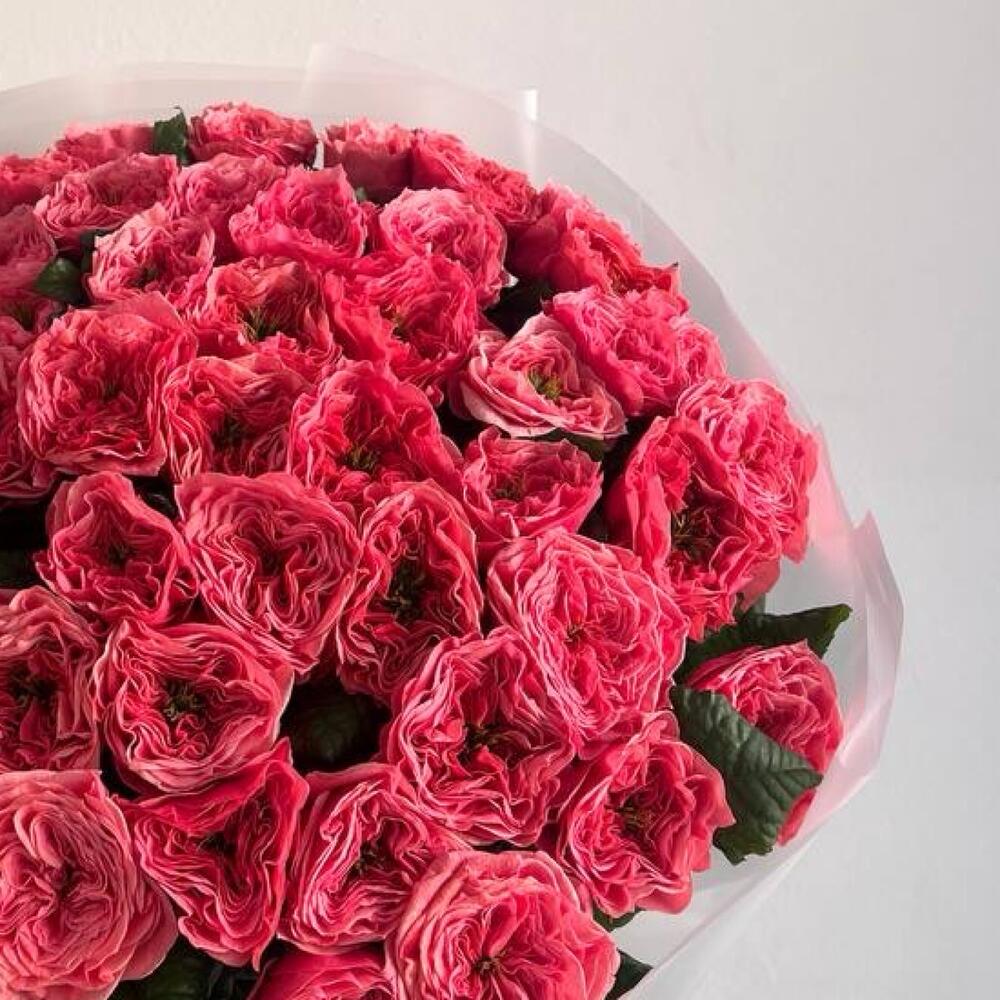 Пионовидные розы   🌹