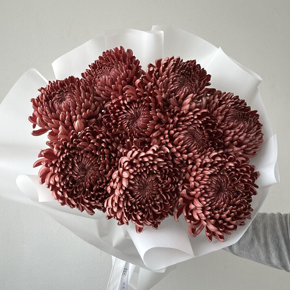 Хризантема Bigoudi Red