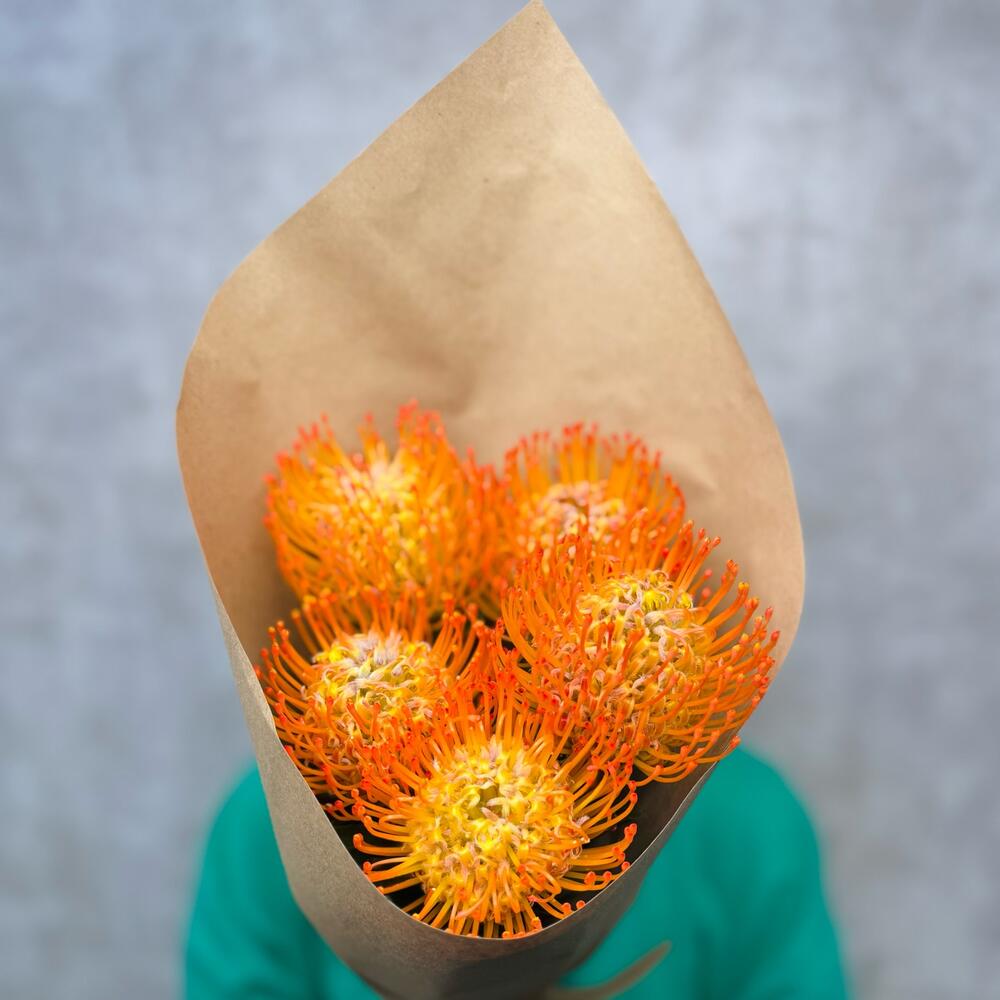 Букет 💐 экзотики Протея яркая оранжевая 🧡🔥 нутан 🧡