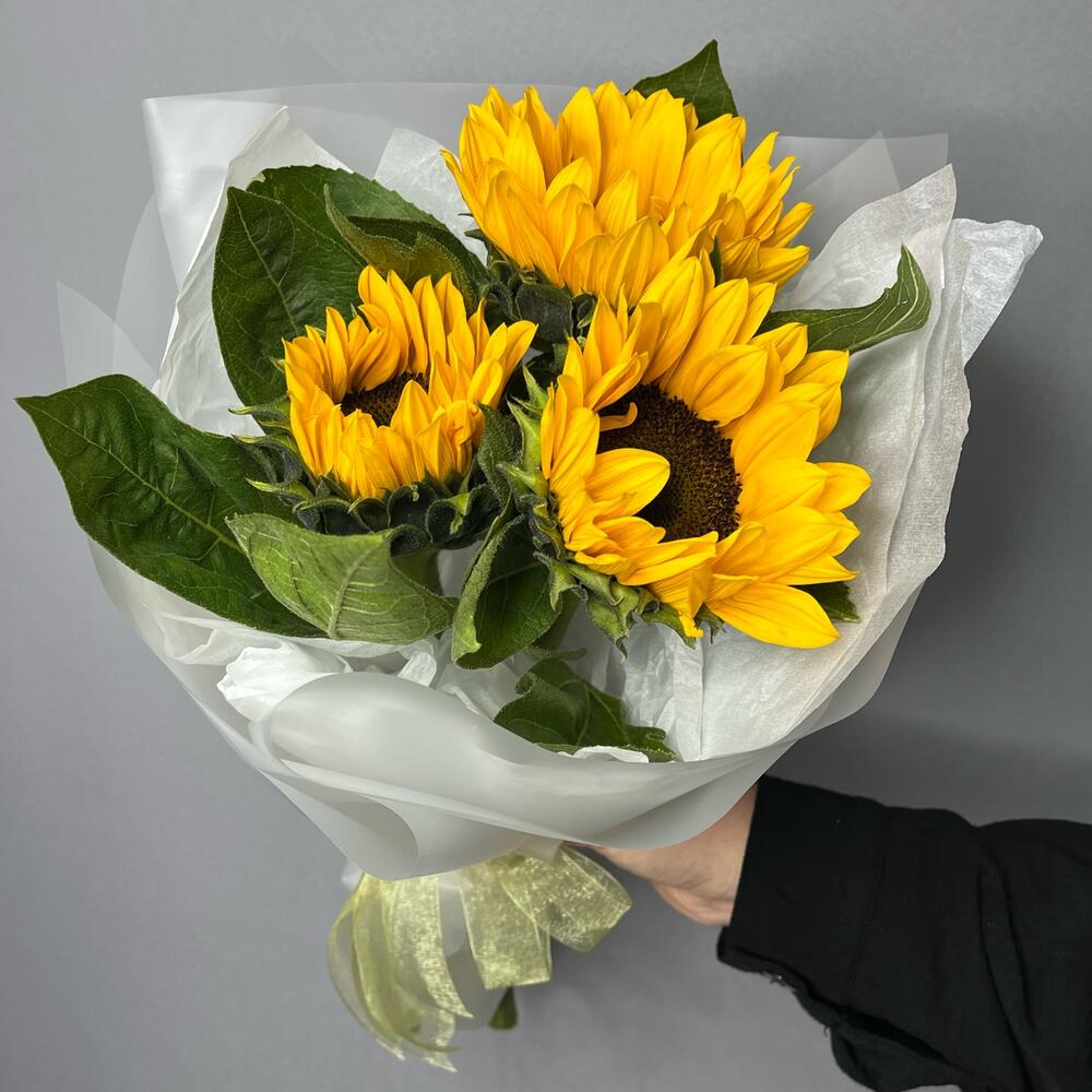 Моник из Подсолнухов 🌼