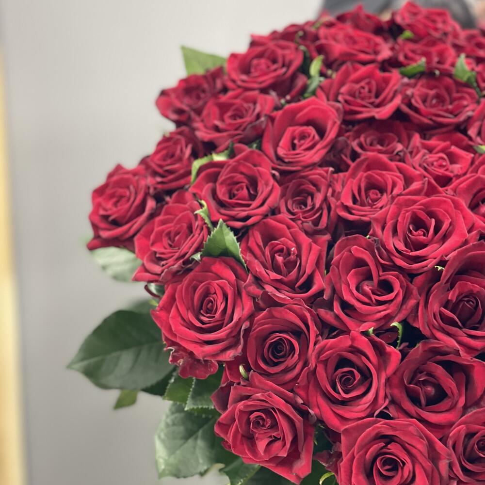 Красная роскошь🌹51шт