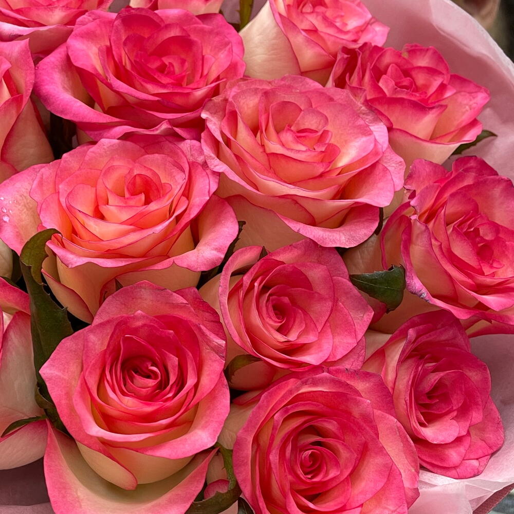 Моно из 15 роз Джумилия 😍