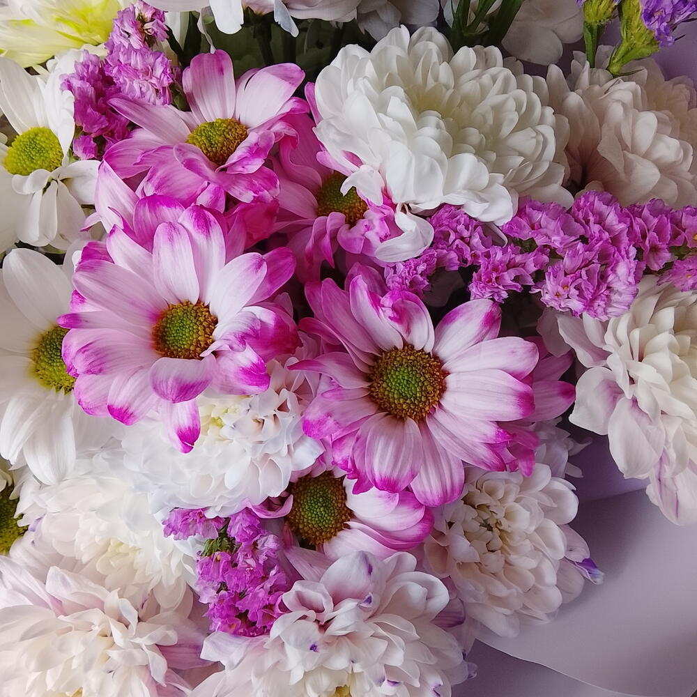 🌸 Хризантемы микс со статицей