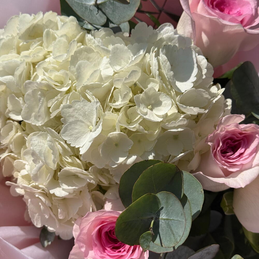 White and Blush