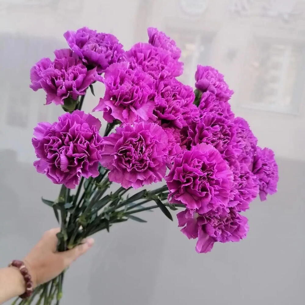 Гвоздика 15 штук