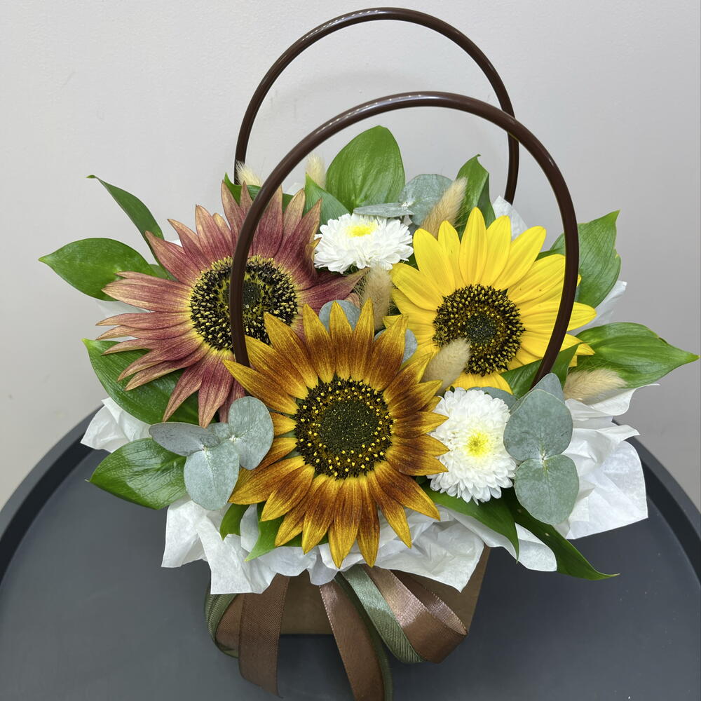 Сортовые солнечные подсолнухи 🌻