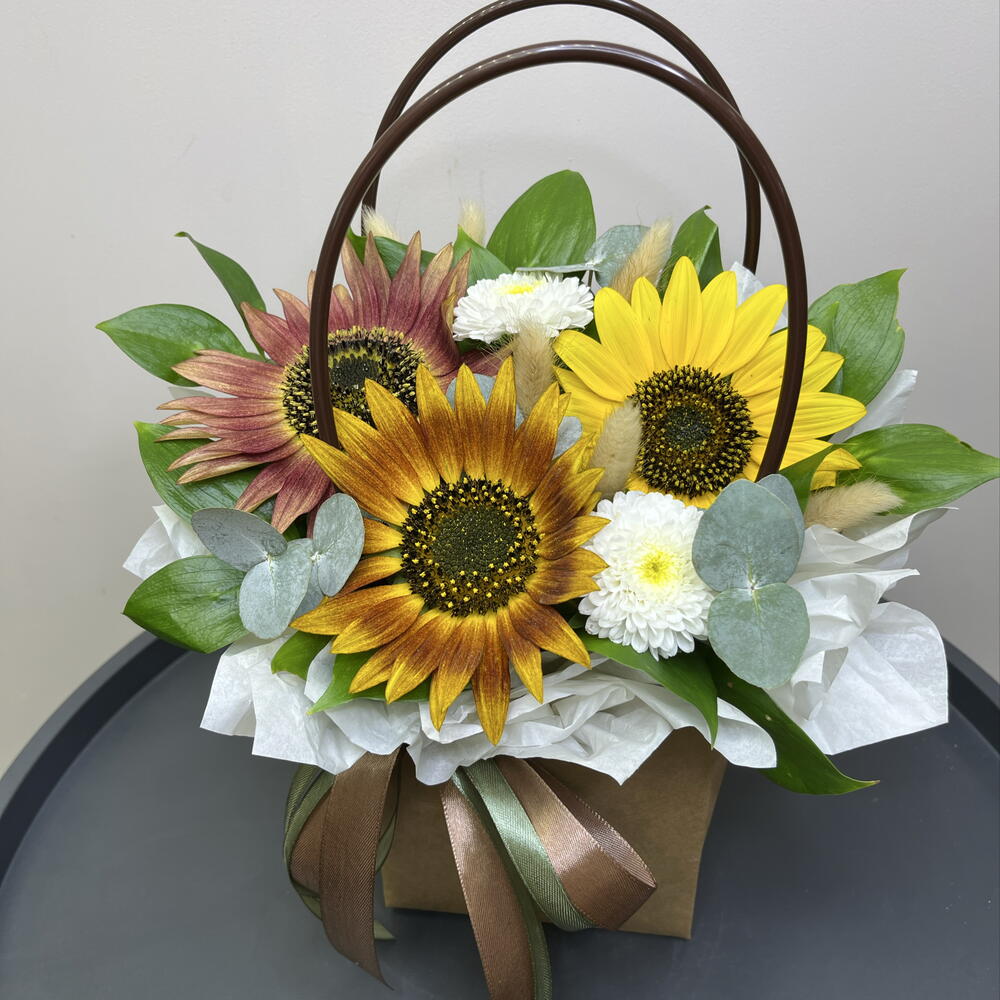 Сортовые солнечные подсолнухи 🌻