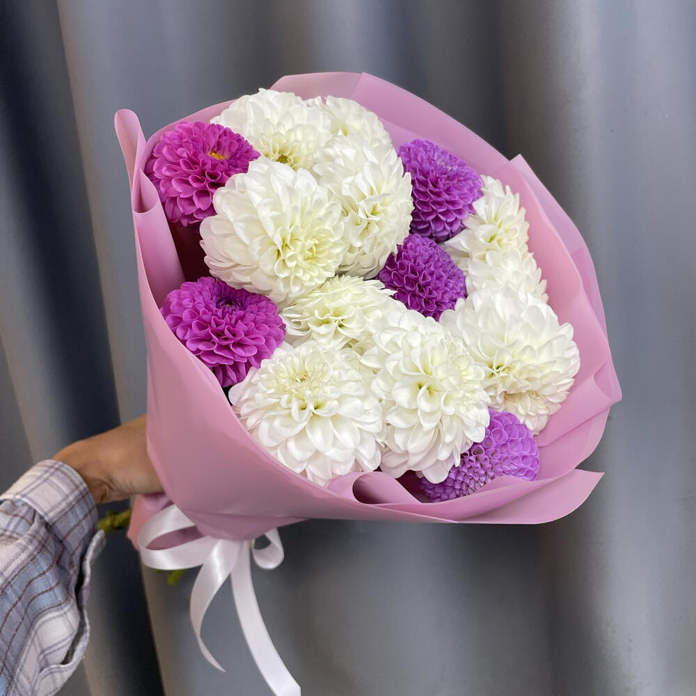 Георгины 15шт