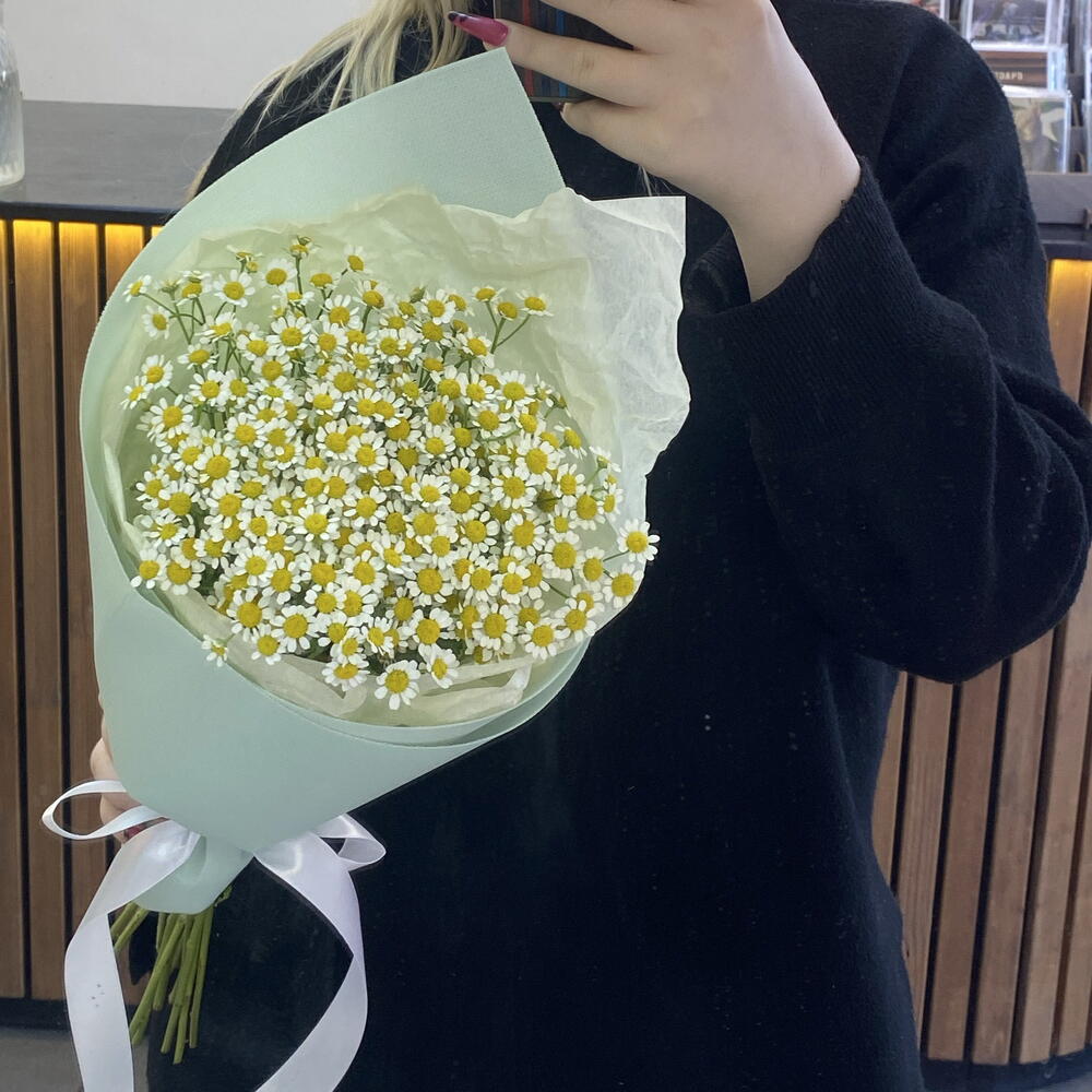 Охапка ромашек с поля 🌾