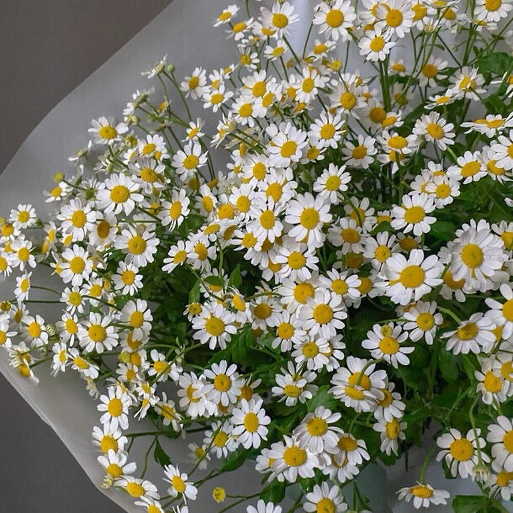 Букет с ромашками