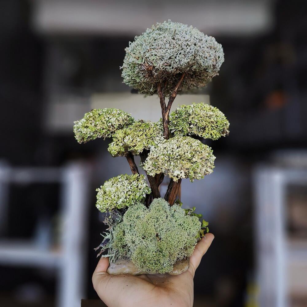 «Серебряная роща» — интерьерное дерево ручной работы Cetraria®
