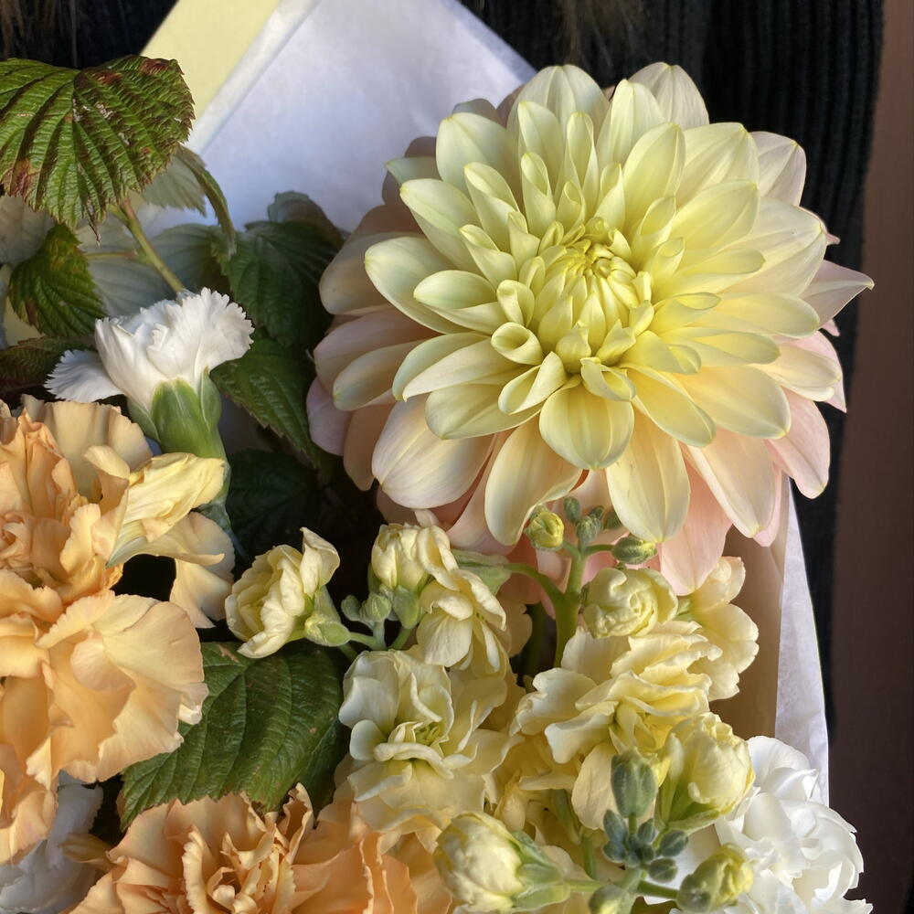 Букет-комплимент с георгином и маттиолой