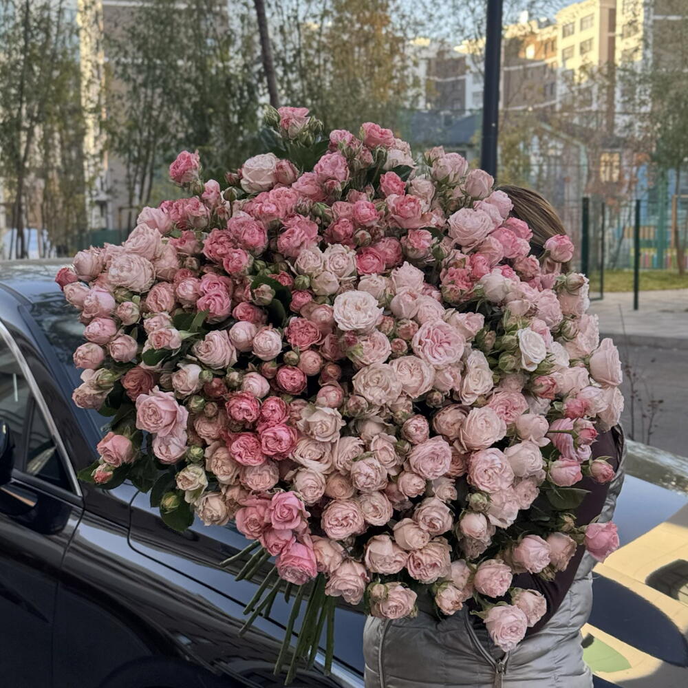 Кустовые пионовидные розы  «Бомбастик» 65