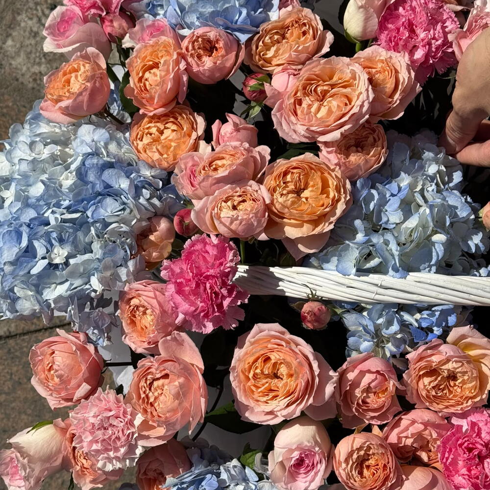 Cotton Candy