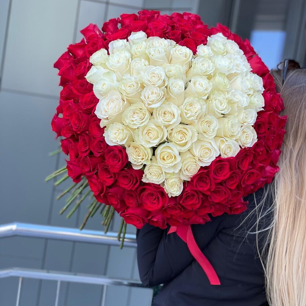 Bouquet of 151 white and red roses