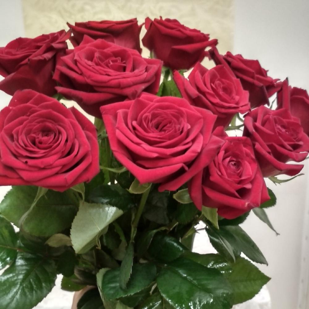 🥇 Красный бархат 13 бордовых роз ♥️