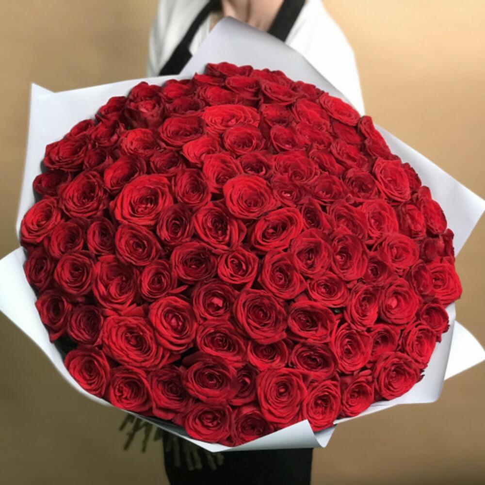 Розы красные (60 см) (101)